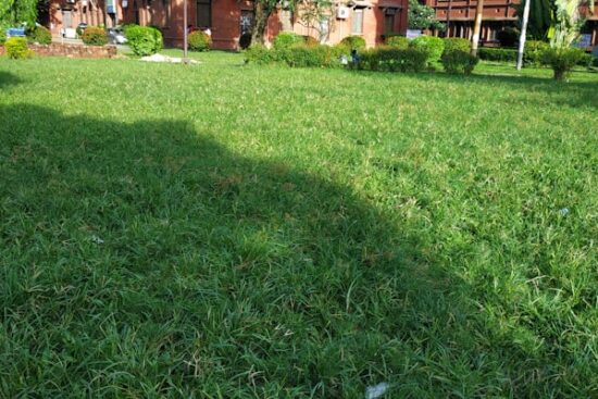 Köpek Gibi Pişman Etme Duası - Mucizevi Dualar!