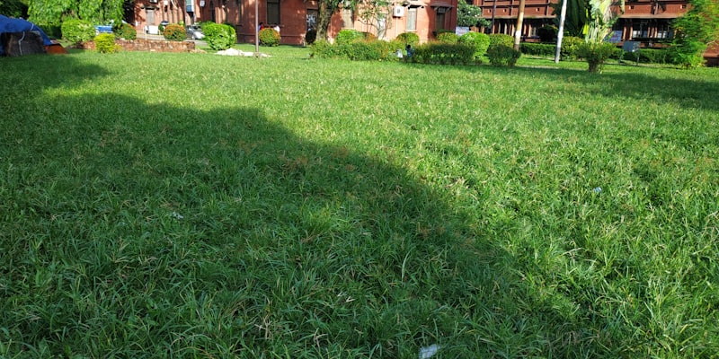 Köpek Gibi Pişman Etme Duası - Mucizevi Dualar! 1 Köpek Gibi Pişman Etme Duası - Mucizevi Dualar!